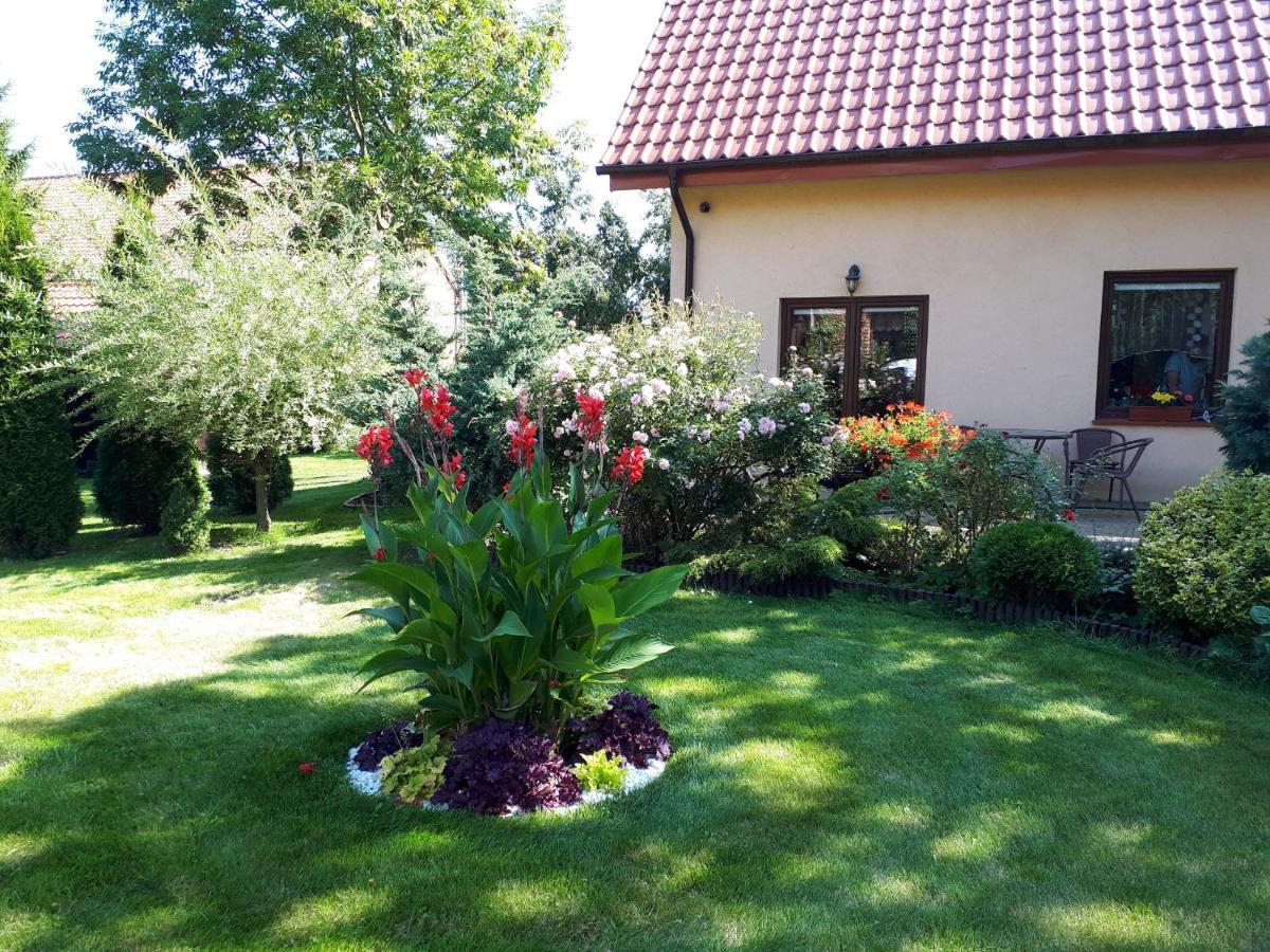 Druzno Holiday home Elblag